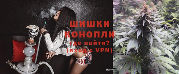 прущие грибы Кукмор