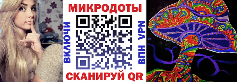 где купить наркоту  Шилка  площадка наркотические препараты  Псилоцибиновые грибы Magic Shrooms 